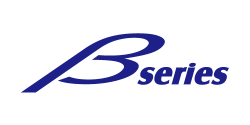 Logo view of Beta-series mesh from PVF