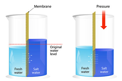 Membrantechnik